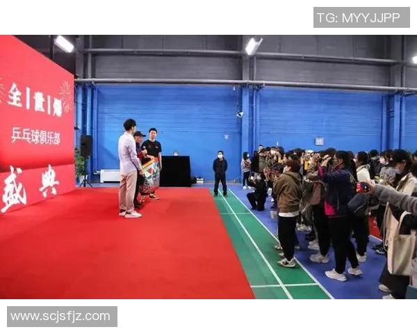 上海乒乓球队转型之路的挑战与机遇全景分析