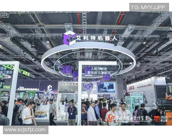 上海排球队灵活性引发热议球迷与专家各执己见
