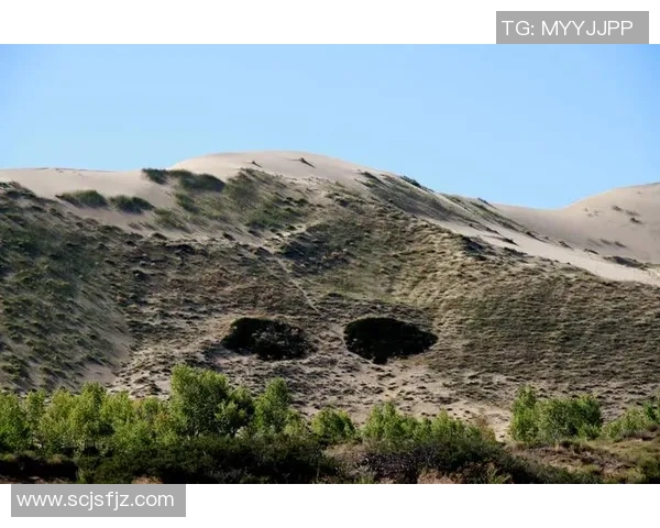 倒钩足球明星名字大揭秘他们的精彩瞬间与传奇故事