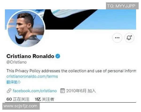 央视广告中的足球明星魅力与影响力全解析